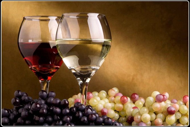 Full-Day Wine Gourmet and Scenic Delight Tour of Marlborough From Picton - Meeting and Pickup Details