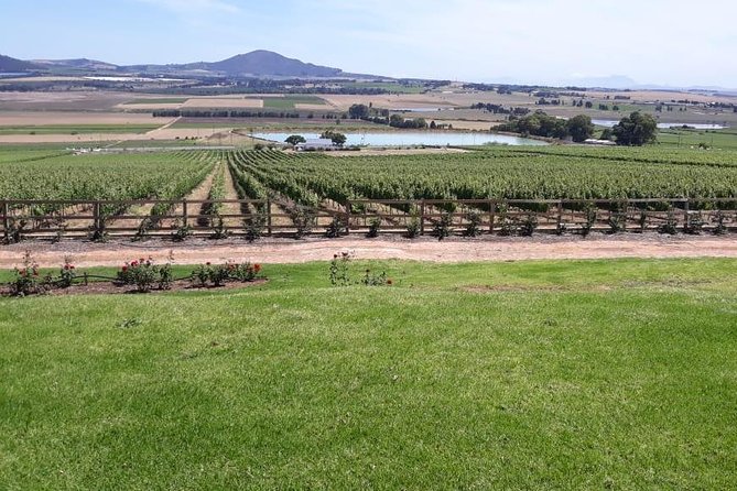 Full Day Wine Tasting in Stellenbosch, Franschoek & Paarl Fees Included - Tour Itinerary and Highlights