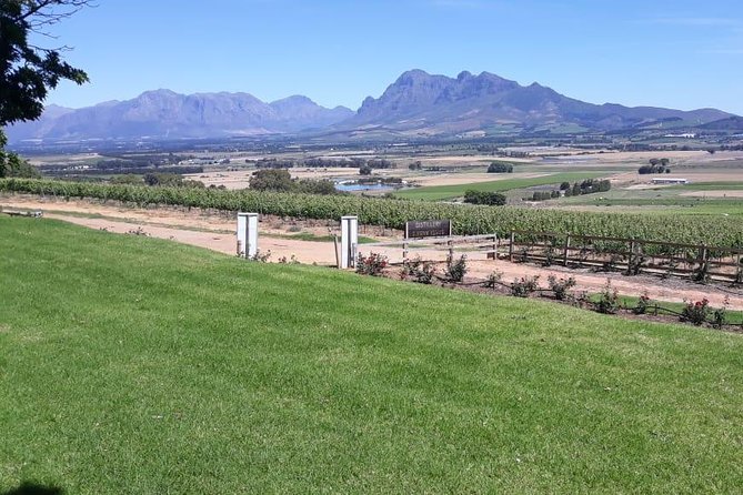Full Day Wine Tasting in Stellenbosch, Franschoek & Paarl Fees Included - Private Transportation and Vineyard Visits