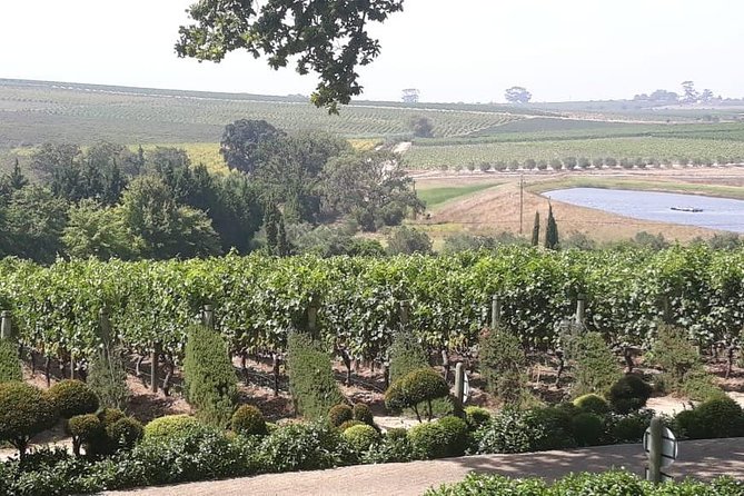 Full Day Wine Tasting in Stellenbosch, Franschoek & Paarl Fees Included - Spice Route Experience in Paarl