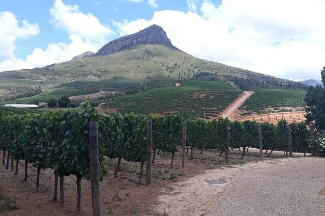 Full Day Wine Tasting in Stellenbosch, Franschoek & Paarl Fees Included - Pricing and Booking Details