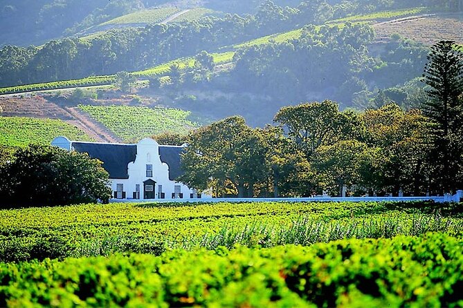 Full Day Wine Tasting Tour in Stellenbosch, Franschhoek and Paarl - Tour Overview