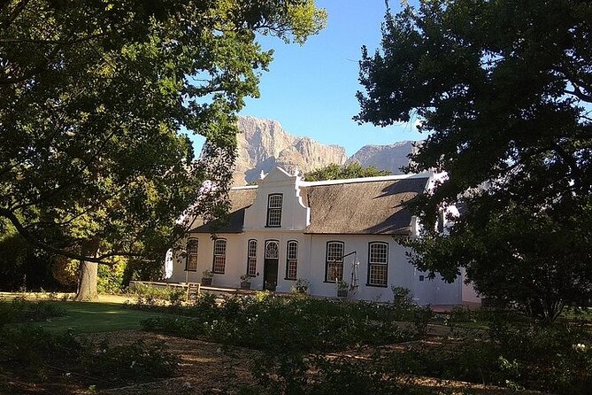 Full Day Wine Tasting Tour in Stellenbosch, Franschhoek and Paarl - Tour Highlights