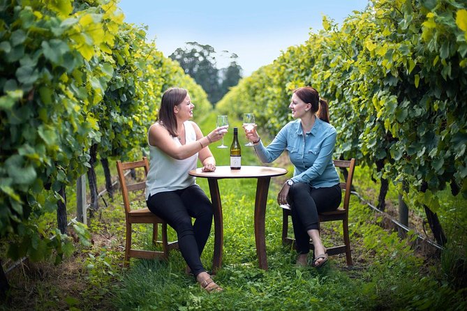 Full-Day Wine Tour From Blenheim - Winery Lunch