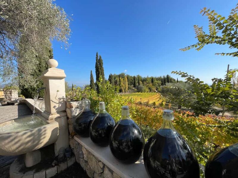Full-Day Wine Tour in Bellet & Saint-Paul de Vence From Nice - The Authentic Touch: Testimonials & Insights