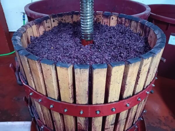 Full Day Wine Tour in Ribera Del Duero - Tour Duration and Size