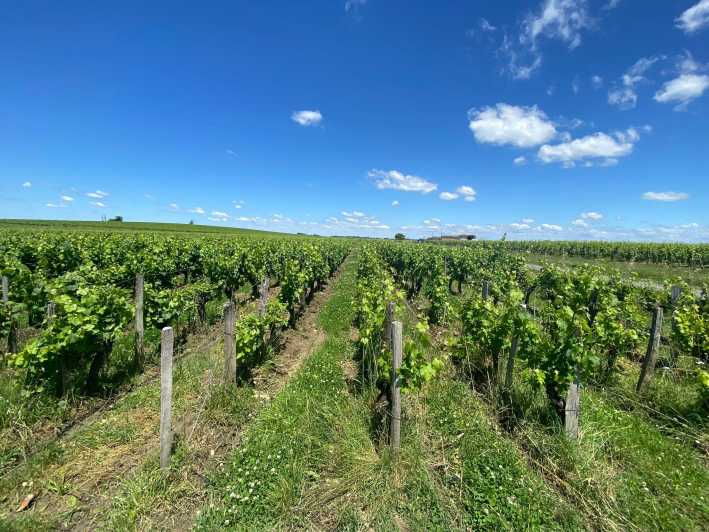 Full Day Wine Tour in Saint Emilion & Margaux - Itinerary Details