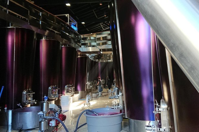 Full-Day Wine Tour in Saint-Emilion (Premium Sedan) - Traveler Photos and Reviews