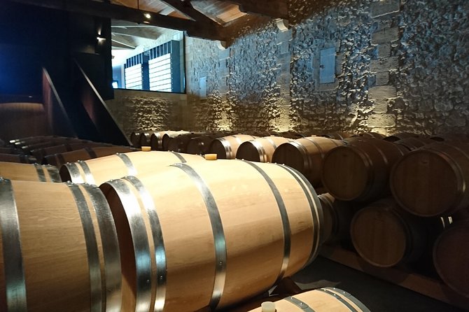 Full-Day Wine Tour in Saint-Emilion (Premium Sedan) - Overall Summary
