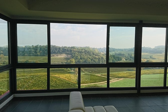 Full-Day Wine Tour in Saint-Emilion (Premium Sedan) - Common Questions