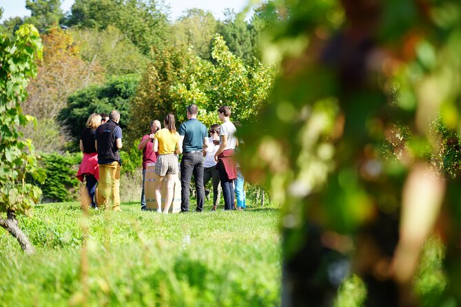 Full Day Wine Tour in Vouvray and Chinon With LUNCH at the Winery - What to Expect