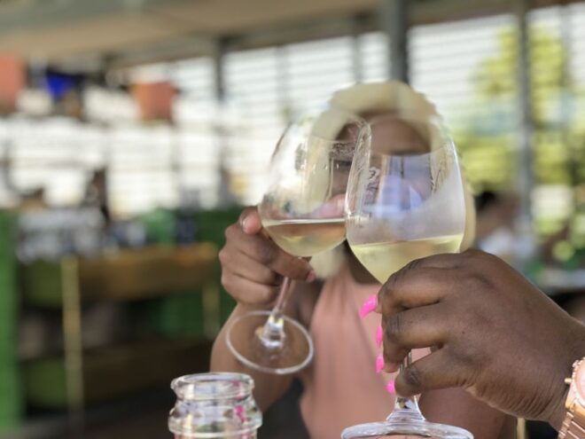 Full Day Wine Tour Stellenbosch and Franschhoek - Wine Estates