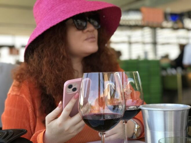 Full Day Wine Tour Stellenbosch and Franschhoek - Logistics