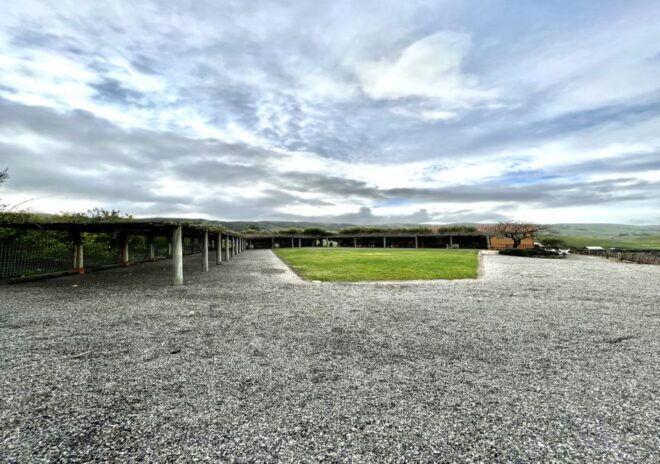 Full-Day Wine Tour to Napa & Sonoma 3 Tastings Included - Common Questions