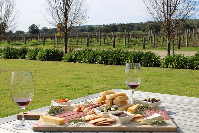 Full Day Wine Tour Transport in Mclaren Vale - Important Information for Travelers
