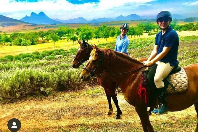Full Day Wine Tour With Lunch And Tastings - Horseback Riding Through Wine Estates