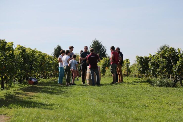 Full Day Wine Tour With Lunch at the Winery : Vouvray&Chinon - Tour Duration and Flexibility