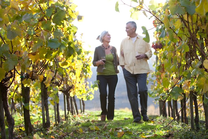 Full-Day Winery Shuttle Service, Queenstown Area - Return Details and Policies
