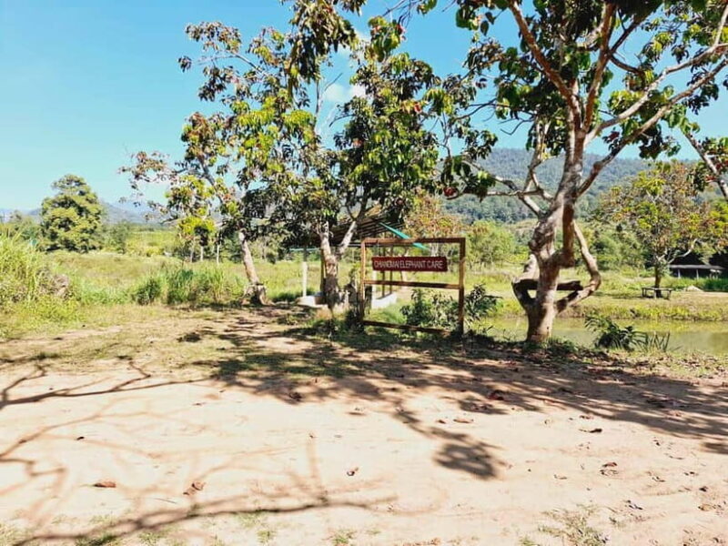 Full-day with CHIANGMAI ELEPHANT CARE and Sticky waterfall - FAQ