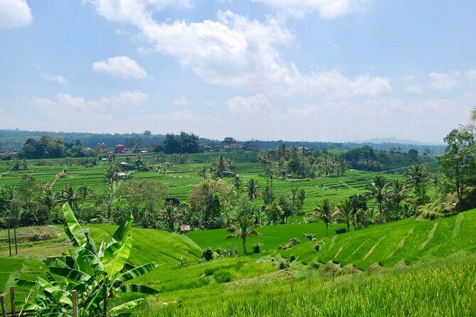 Full Day Wonders of Bali Group Tour with Pickup and Lunch - Exploring the Full Itinerary: What to Expect