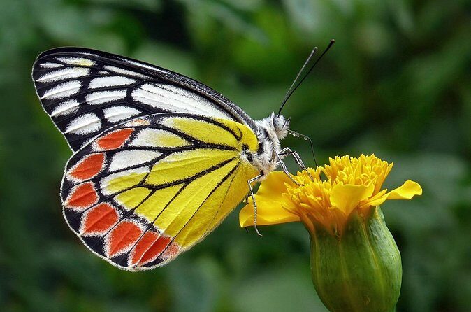 Full Day Wonders of Bali Group Tour with Pickup and Lunch - Final Thoughts: Who is This Tour Best For?