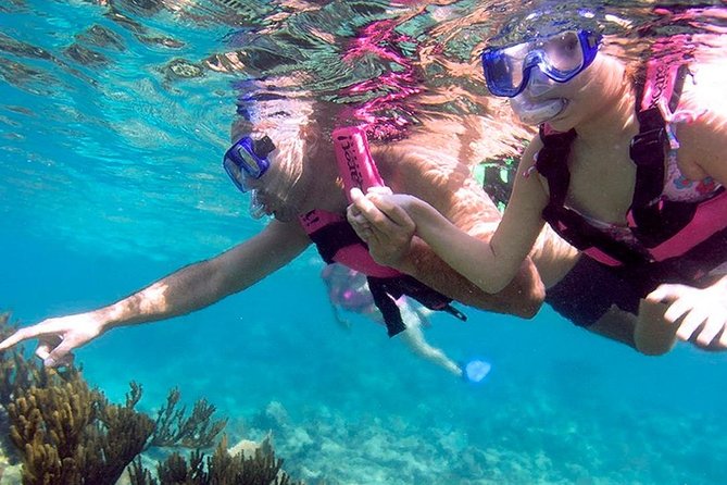 Full Day Xcaret Plus & Buffet & From Cancun & Playa Del Carmen - Cancellation Policy for Xcaret Plus Booking