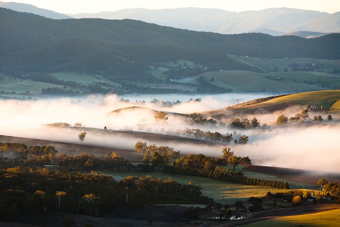 Full Day Yarra Valley Experience in Australia - Top Attractions in the Yarra Valley
