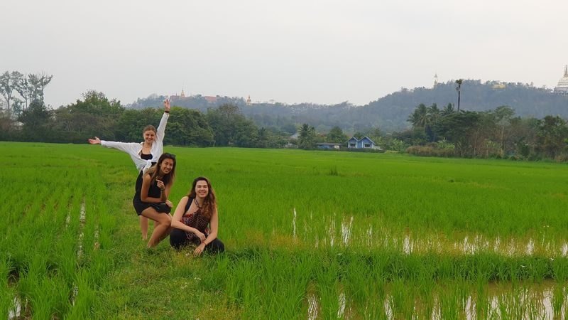 Full-Day Yoga and Meditation Experience in Chiang Mai - Walking beside rice fields