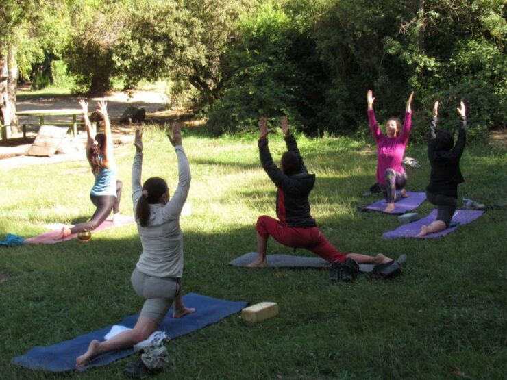 Full Day Yoga and Rock Climbing Experience. Cajón Del Maipo - Experience Highlights