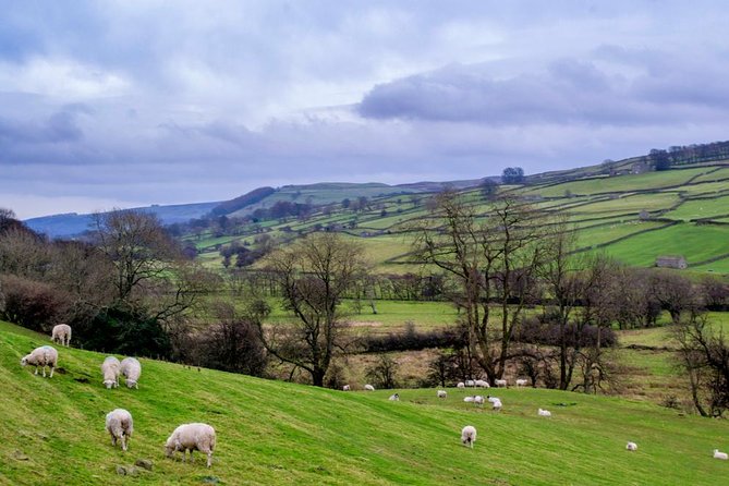 Full-Day Yorkshire Dales Tour From York - Common Questions
