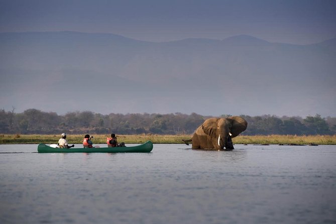 Full-Day Zambezi River Canoeing Experience With Pickup - Pickup: Options and Details