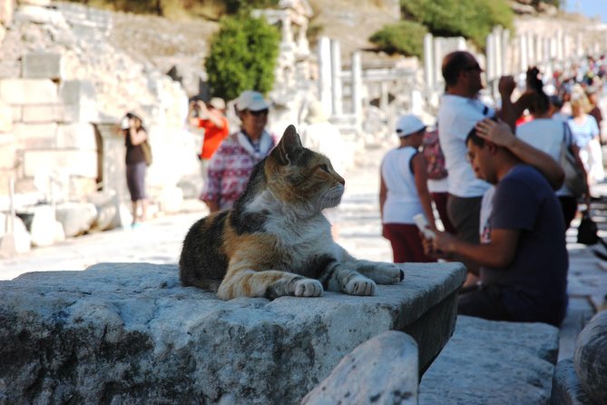Full Ephesus With All Highlights Tour - Turkey Insiders Team - Transportation and Pickup