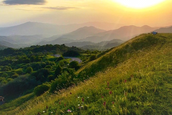 Full Kakheti Day Trip - Reviews