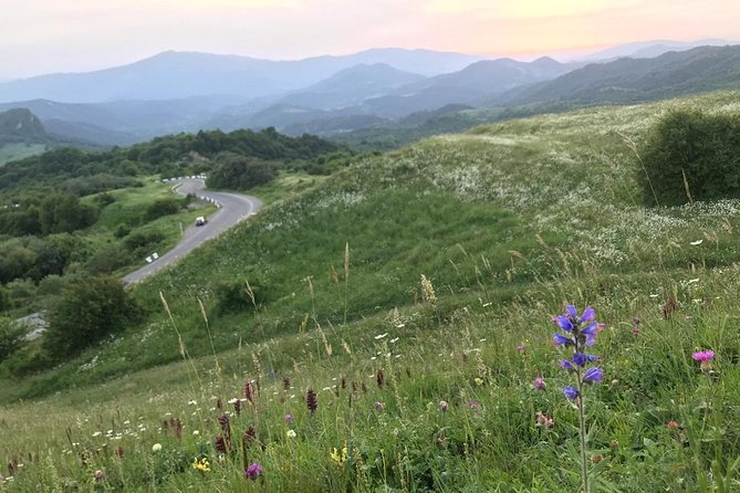 Full Kakheti Day Trip - Frequently Asked Questions