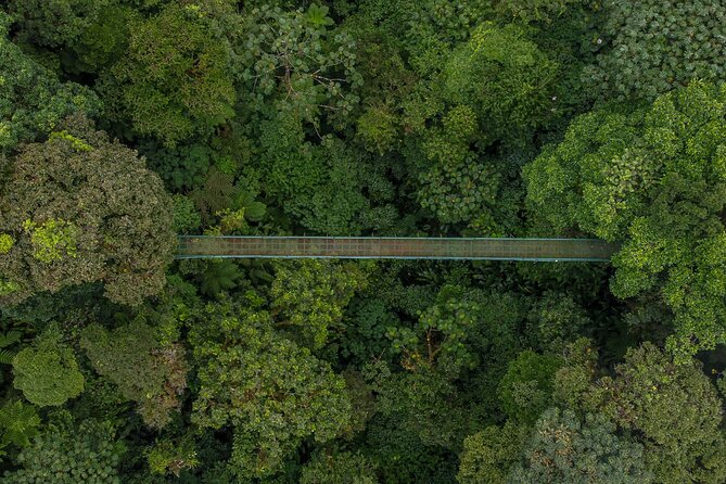 Full Monteverde Cloud Forest Experience With Ziplining. - Overview and Package Details