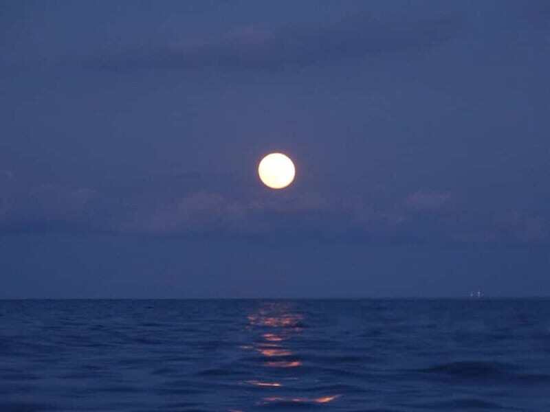 FULL MOON Boat Experience (OpenBar+Local Tapa included) - Good To Know