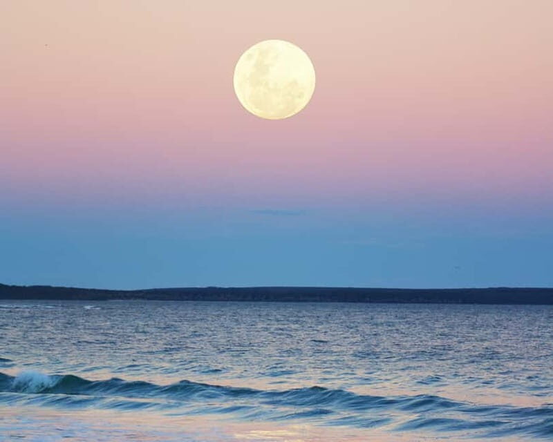 Full Moon Magic  2h Night Sailing in Sotogrande - Discover the Enchantment of Full Moon Night Sailing in Sotogrande