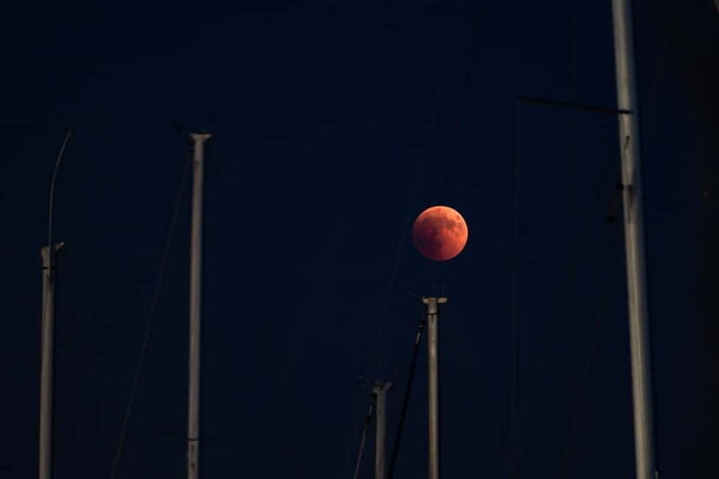Full Moon Magic  2h Night Sailing in Sotogrande - Practical Details and Booking Insights