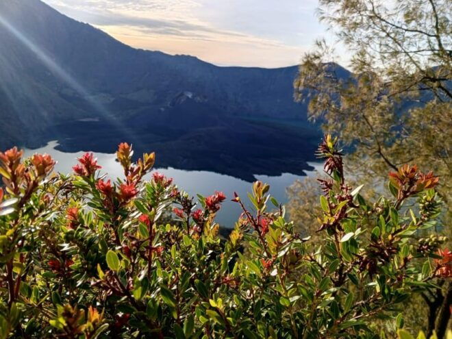 Full Mount Rinjani Tour 4D/3N Sembalun Lake And Senaru - Detailed Itinerary