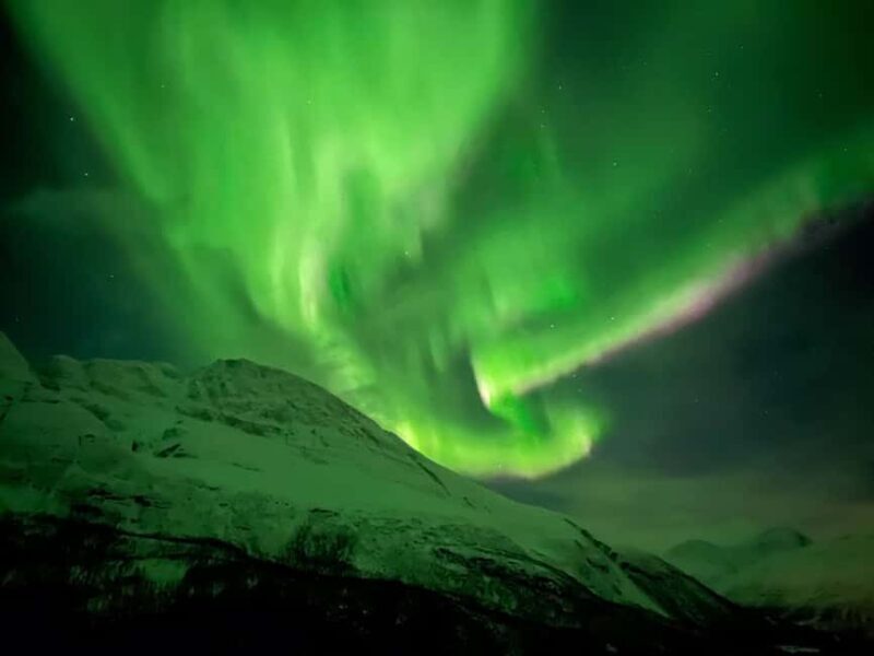 Full Night Magic of the Northern Lights in Tromso - Good To Know