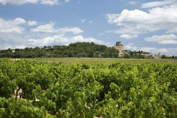 Full Private Day Avignon Chateuneuf Du Pape Wine Tasting - Private Full-Day Tour