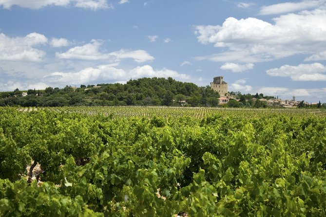 Full Private Day Avignon Chateuneuf Du Pape Wine Tasting - Tour Expectations and Requirements