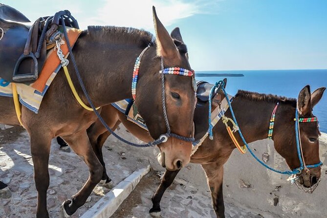 Full Santorini Highlights Private Tour - Additional Activities