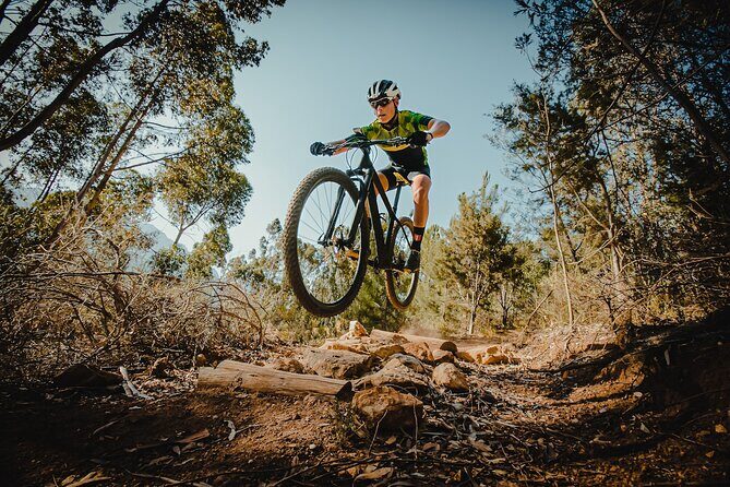 Full Suspension Mountain Bike Rental in Breckenridge - The Sum Up