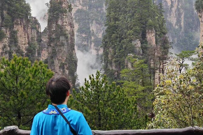 Full VIP Zhangjiajie National Forest Park Day Tour - An In-Depth Look at the Experience