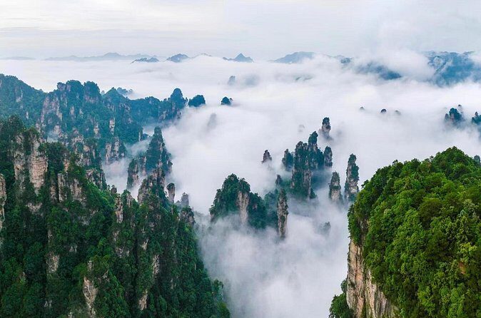 Full VIP Zhangjiajie National Forest Park Day Tour - Price and Value
