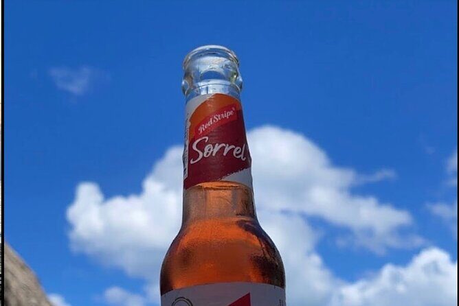 FullDay at Margaritaville 7Mile Beach & Rick's Cafe in Negril - The Itinerary Breakdown