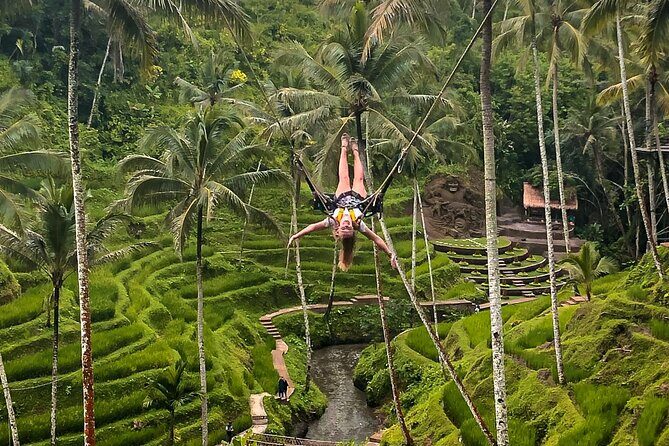 Full Day Bali Ubud Tour - Private All Inclusive - Why This Tour Works
