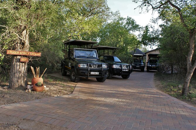 Full Day Gamedrives in Kruger National Park From Marlothpark - Pricing and Booking Details