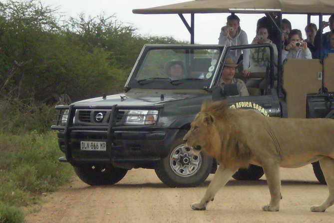 Full Day Gamedrives in Kruger National Park From Marlothpark - Date Availability and Ticket Information